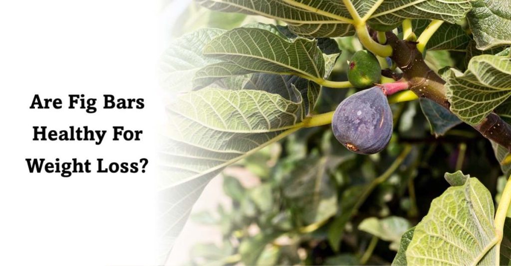 Fig Bars and Weight Loss
