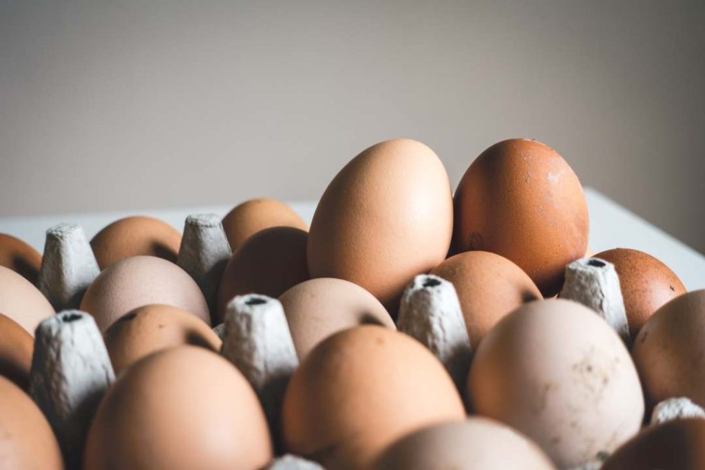 Is An Egg Sandwich Healthy For Weight Loss