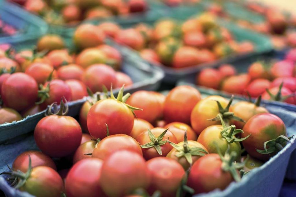 Is Eggplant Healthy For Weight Loss