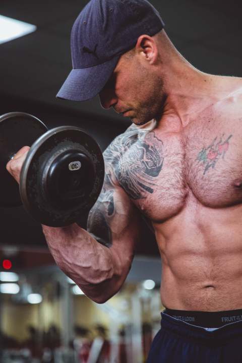Is Grilled Cheese Healthy For Weight Loss