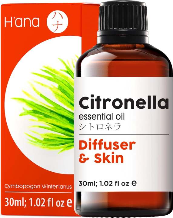 H’ana Pure Ginger Oil for Belly Fat  Pain - 100% Natural Therapeutic Grade Ginger Essential Oil for Lymphatic Massage Oil - Belly Drainage Ginger Oil for Hair Growth, Skin  Diffuser (1 fl oz)
